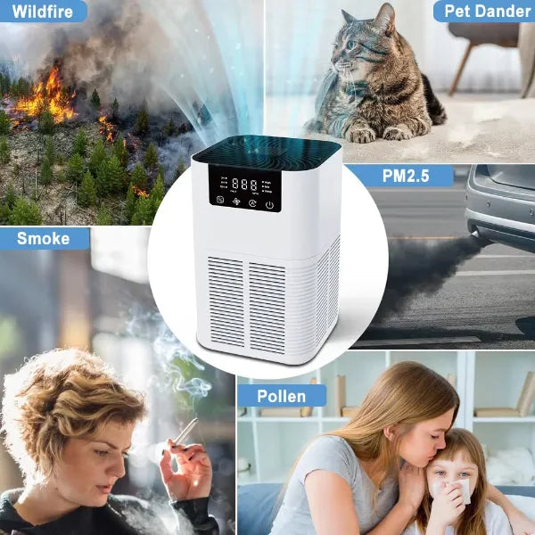 M2 HAPuri Home Air Purifier
