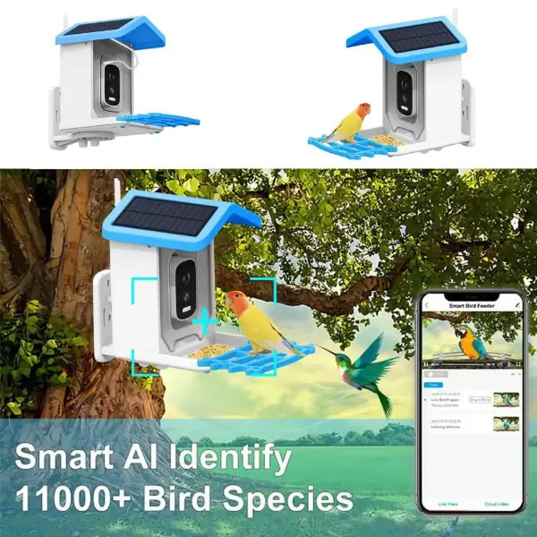 JulyBird Smart Bird Feeders with Camera US01