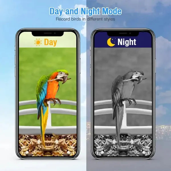 JulyBird Smart Bird Feeders with Camera US01