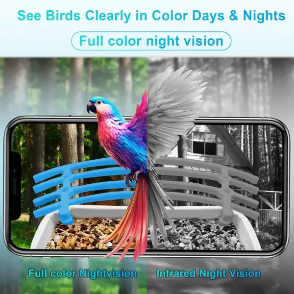 JulyBird Smart Bird Feeders with Camera US01