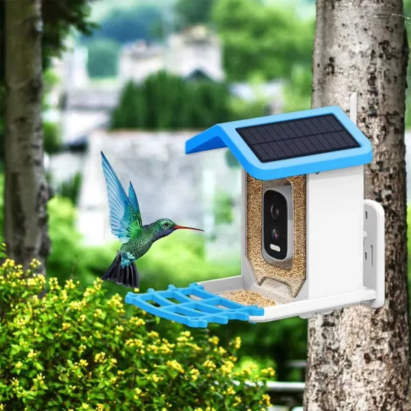 JulyBird Smart Bird Feeders with Camera US01