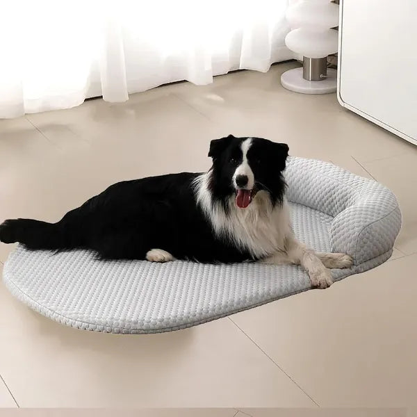 X2 PawpiO Dog Cooling Beds