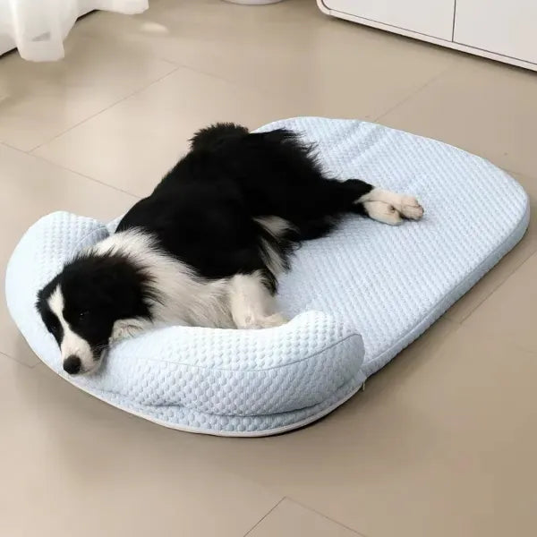 X2 PawpiO Dog Cooling Beds
