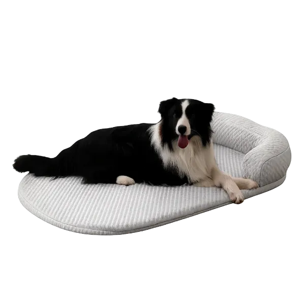 X2 PawpiO Dog Cooling Beds