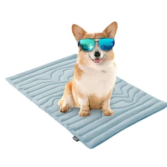 S2 DeliG Dog Cooling Mats US7421