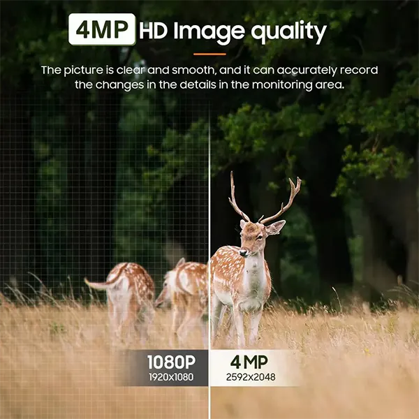 RediffeCam Backyard Cameras