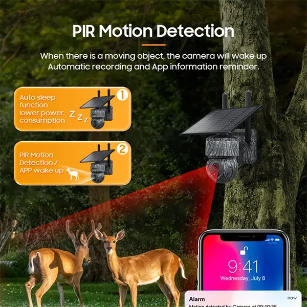 RediffeCam Backyard Cameras